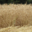Ferme de la Corbette