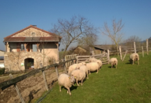 Ferme de la Corbette