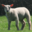 Ferme de la Corbette
