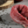 Charcuterie Commenges. Filet mignon de porc