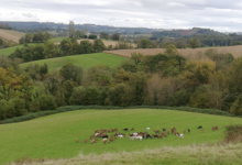 Ferme Couet