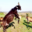 Ferme Couet