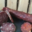 "Les Chèvres d'Angélique". Saucisson