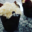 Les petits gâteaux du Pibeste. cupcake Chocolat noix de coco