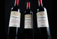 Les vins de la Collection Vigneronne des Châteaux G. Arpin à Saint Emilion