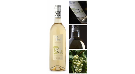 Chardonnay - Vin de Pays d'Oc
