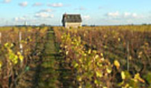 DOMAINE GENDRON
