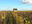 DOMAINE GENDRON
