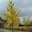DOMAINE DE VIAUD