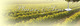 DOMAINE DE HERBAUGES