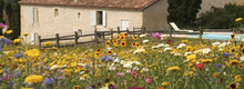 CHATEAU BIAC