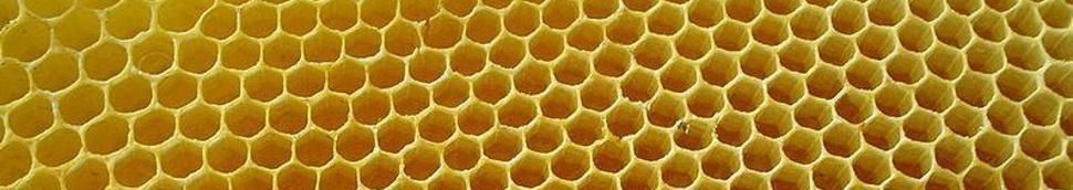 Assortiment de miels et de produits apicoles