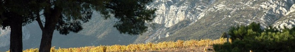 Côtes de Provence Sainte-Victoire Vin Blanc