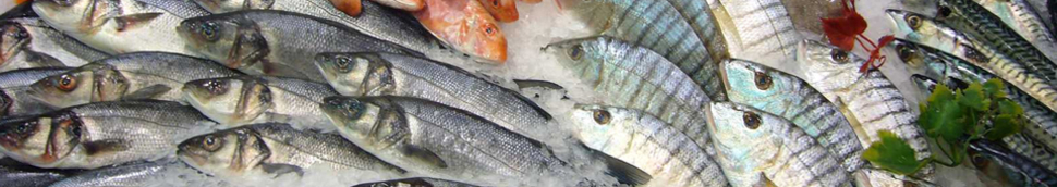 Conserve aromatisée de poisson